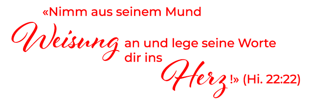 INLANDMISSION SCHWEIZ